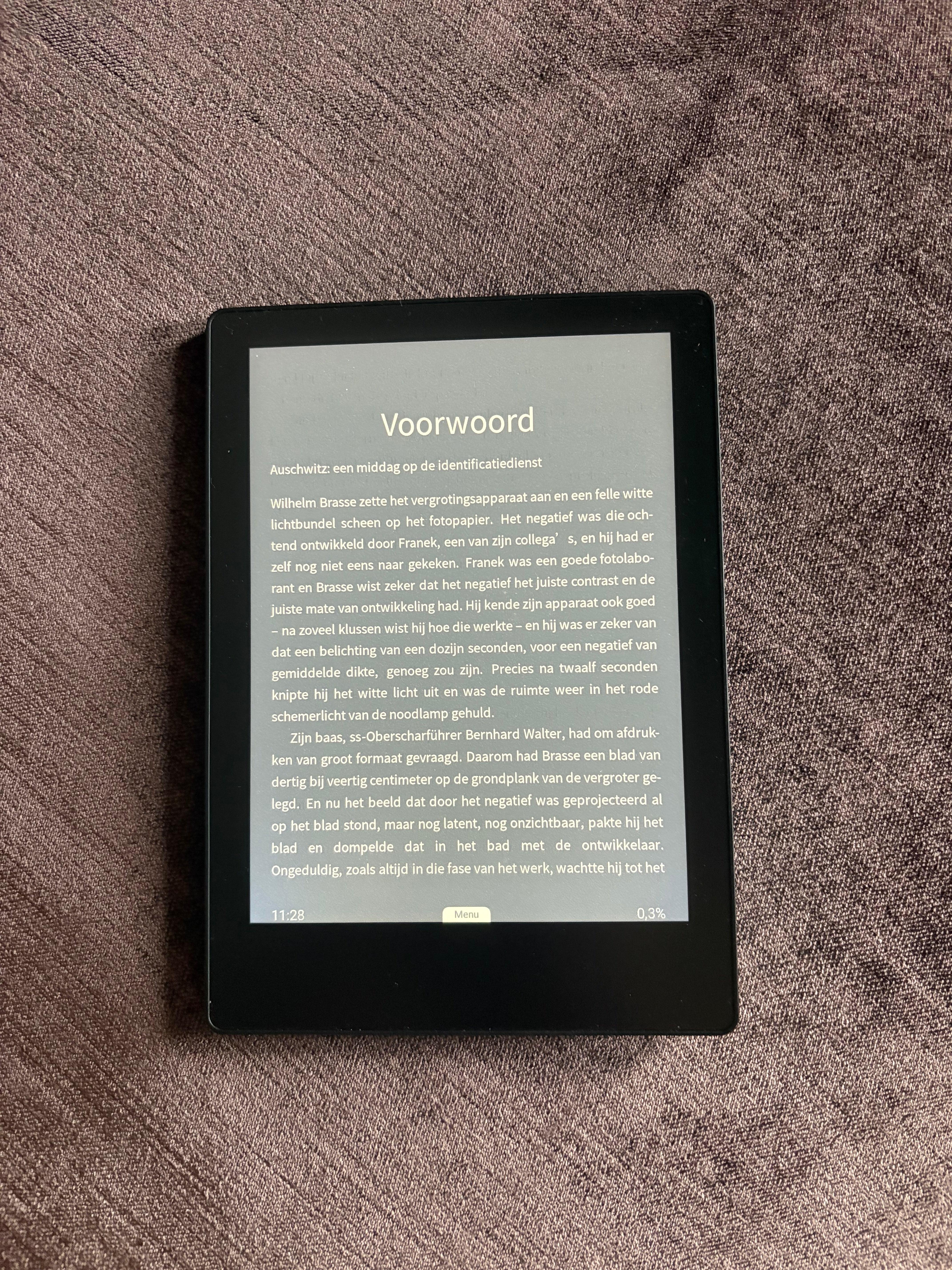 Luma Pro E-reader 6" 64GB - Luisterboeken beluisteren met Storytell