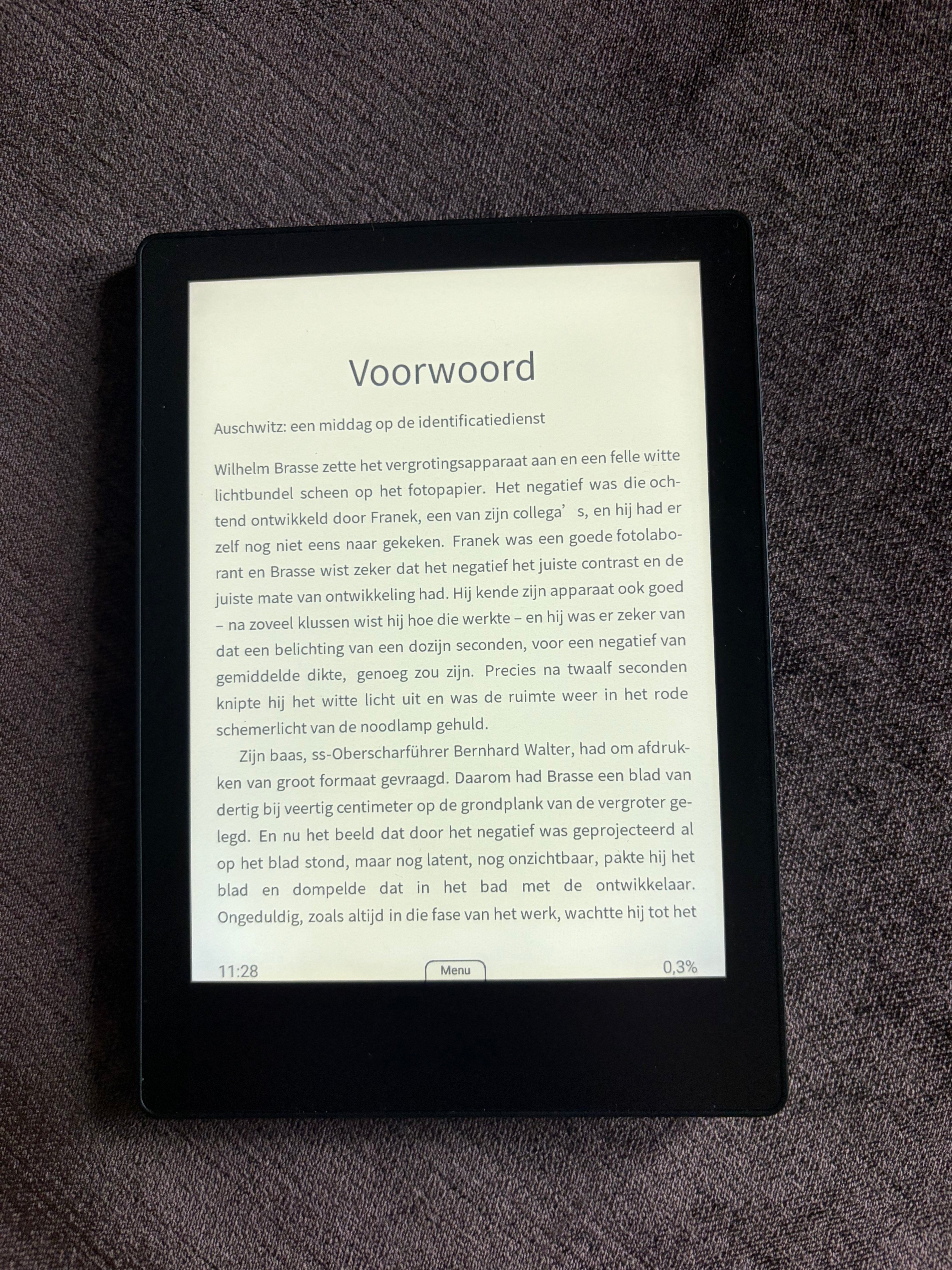 Luma Pro E-reader 6" 64GB - Luisterboeken beluisteren met Storytell